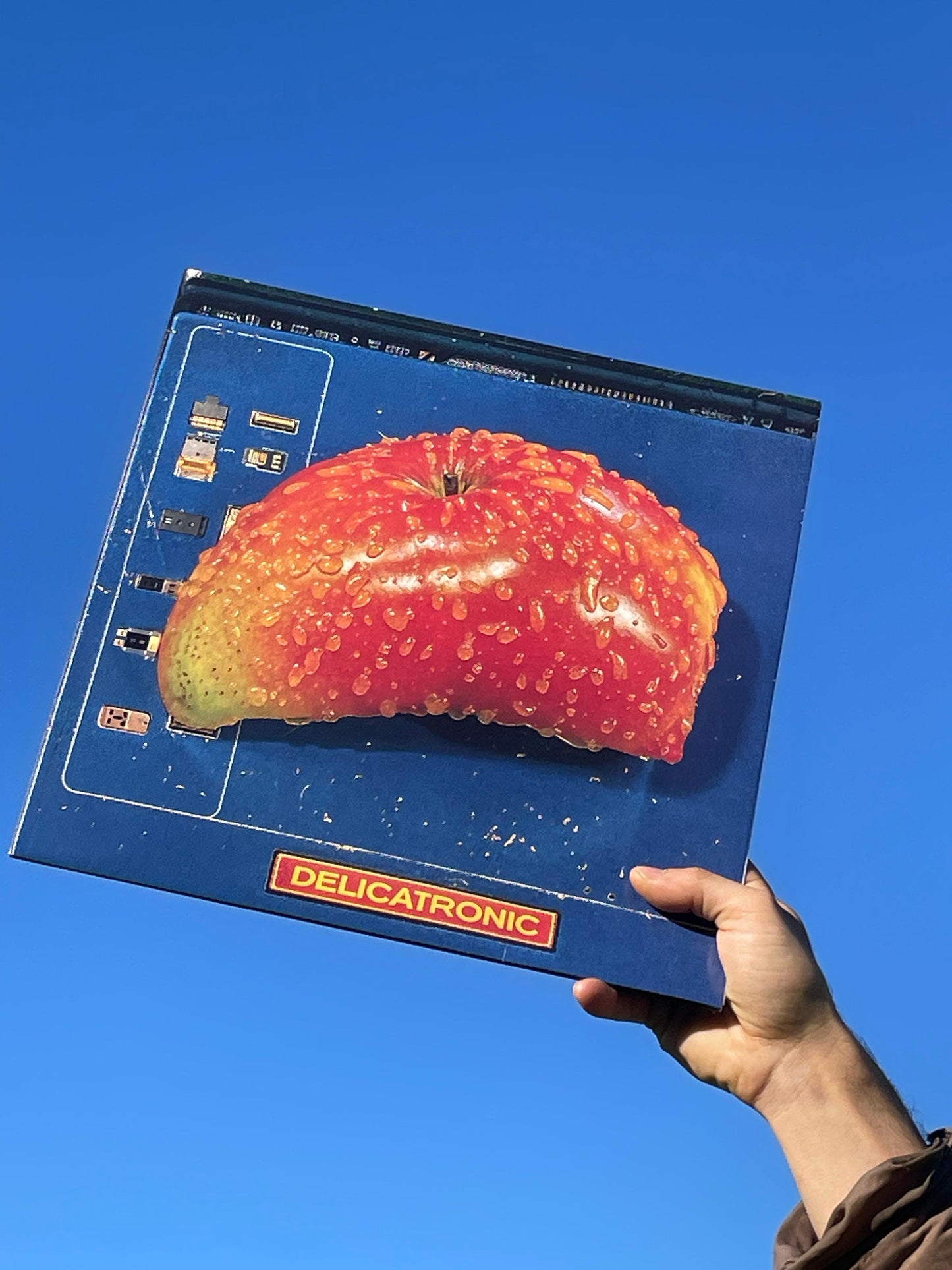 Delicatoni: Delicatronic – Vinyl Edition